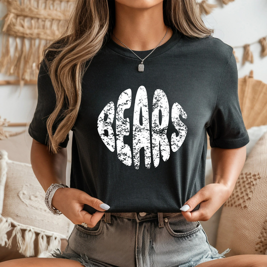 Bears Distressed Circle PNG